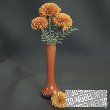 3d-модель Бархатцы (Marigolds) в вазе