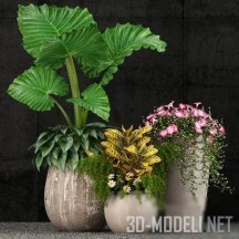 3d-модель Набор цветущих растений