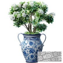 3d-модель Белая плюмерия в китайском вазоне от KINSEY GARDEN DECOR