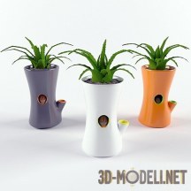 Домашние растения в декоративных вазах