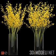 3d-модель Желтая орхидея онцидиум