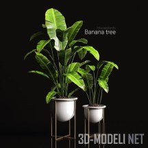3d-модель Сет с банановыми деревьями