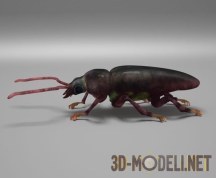 3d-модель Большой жук-дровосек