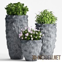 3d-модель Уличные растения в рифленых горшках
