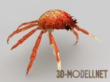 3d-модель Краб