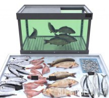 3d-модель Рыбная витрина для магазина