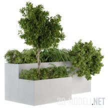 3d-модель Набор растений с деревцем