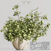 3d-модель Ветви яблони в вазе