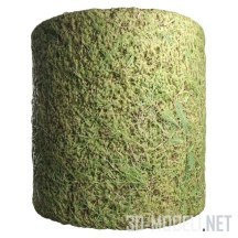 Текстура (материал): Травяное покрытие