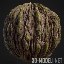 Текстура (материал): Кора старого дерева со мхом