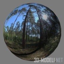 Текстура (материал): Сосновый лес – HDR карта