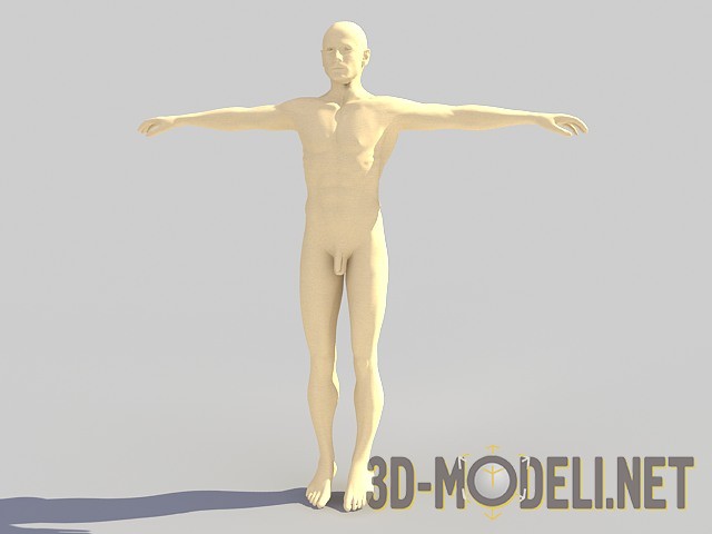 голый парень 3d модель