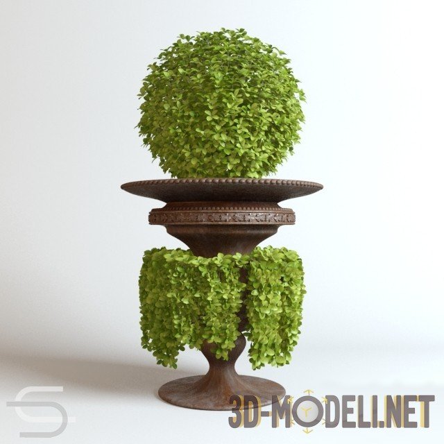 3D модель –  цветочный горшок с растениями