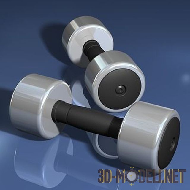 3d модель гантели. Dumbbells 3d. 3д модель спортзала. Gym 3d model.