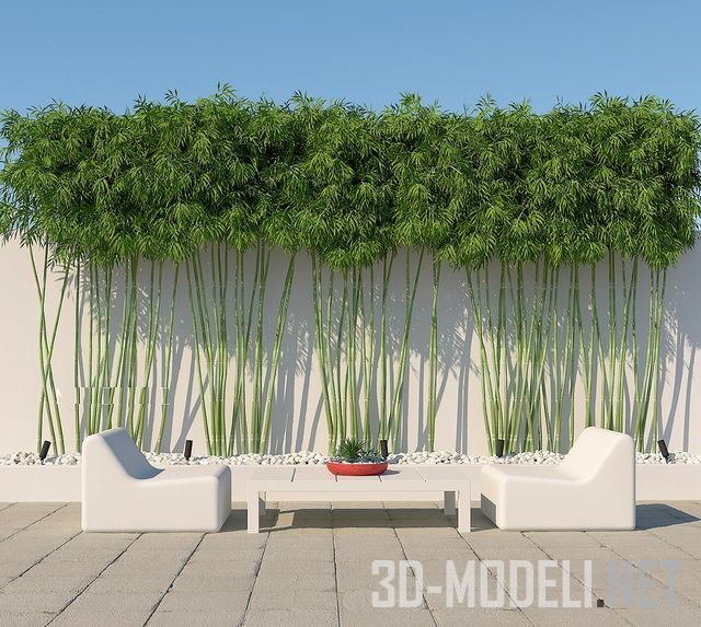 3D модель – Декоративная стена из растущего бамбука