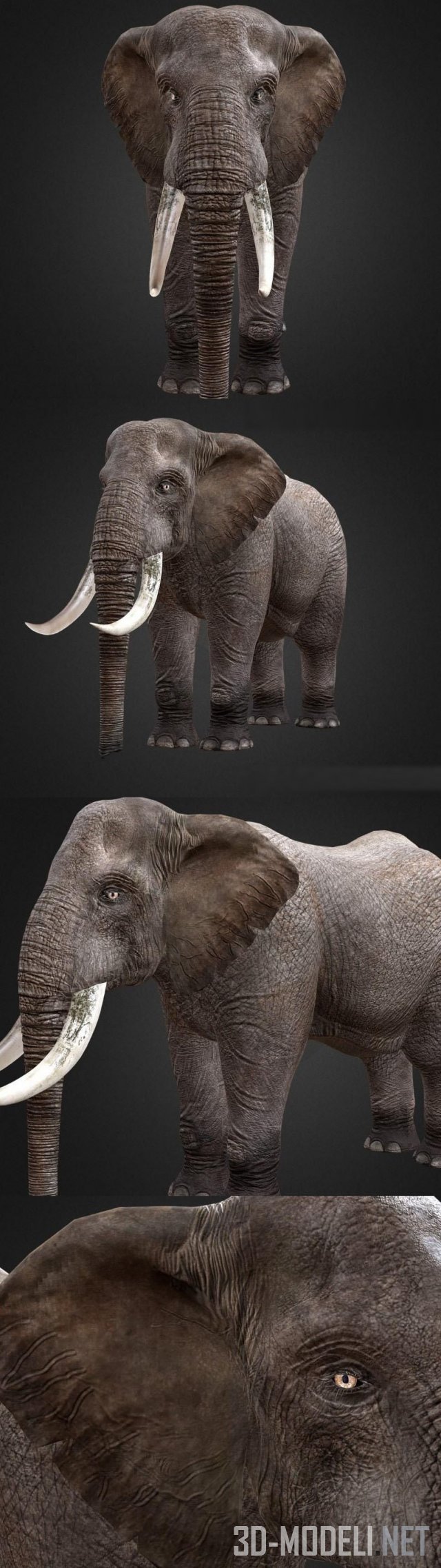 Большой слон