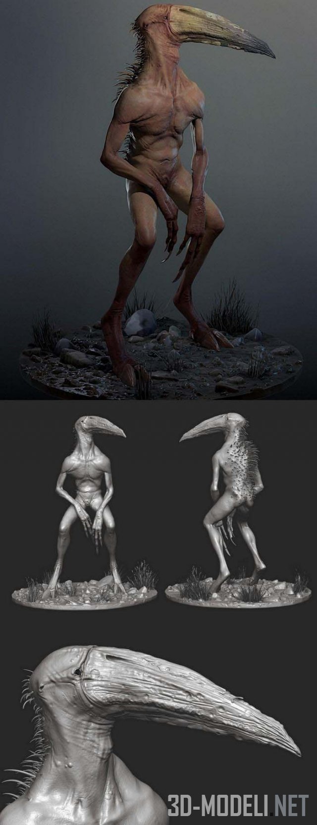 Персонаж Coracos