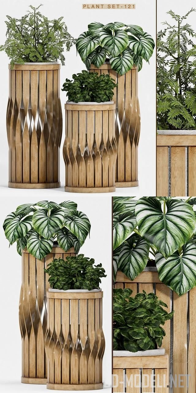 Растения в оригинальных кадках