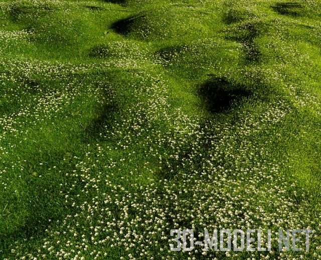 3D модель – Газон из мшанки