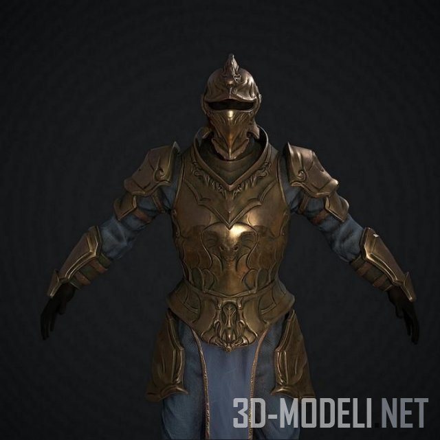 Средневековые доспехи  (Medieval Armour)