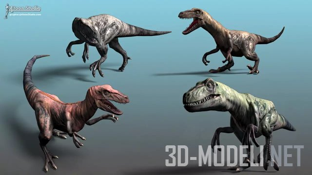 Dinosaur - Velociraptor