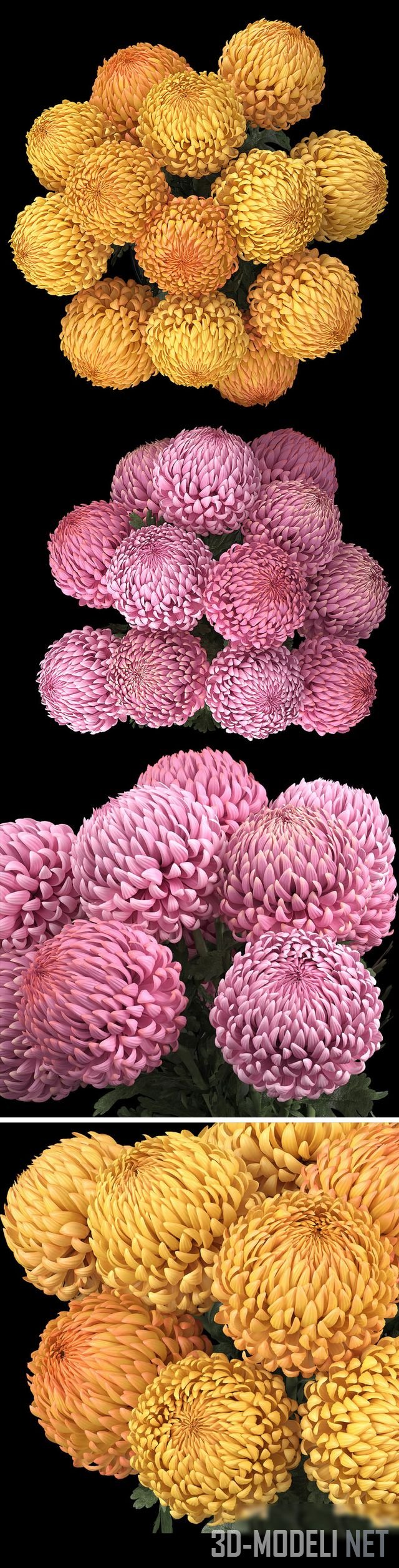 3D модель – Букет из хризантем