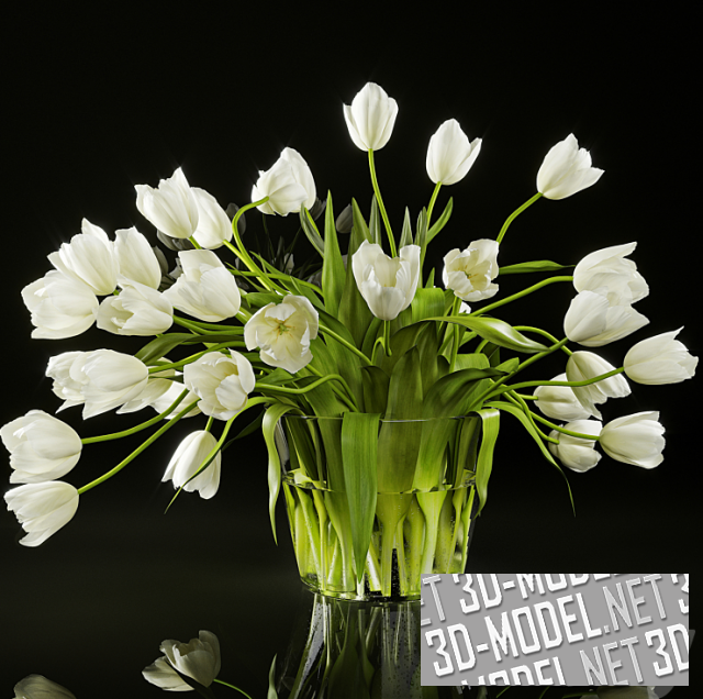 Большой букет белых тюльпанов в стеклянной вазе