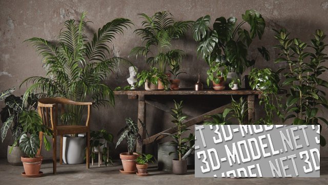 [3Д Модели] 3DCollective - Interior Plants Pack 01