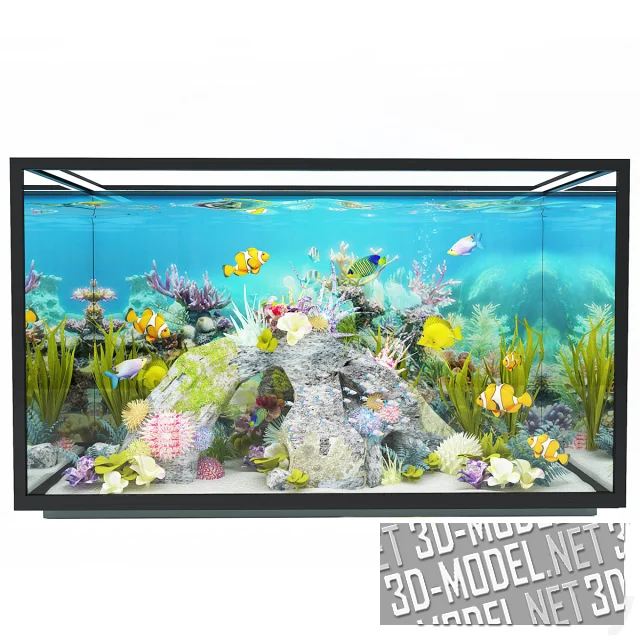 3d-модель Аквариум с рыбами-клоунами и рыбами-ангелами
