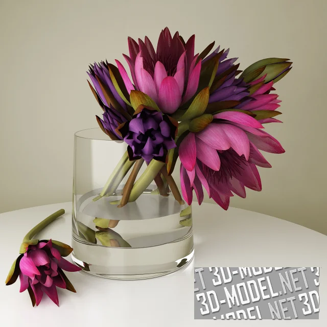 3d-модель Лотосы в стакане