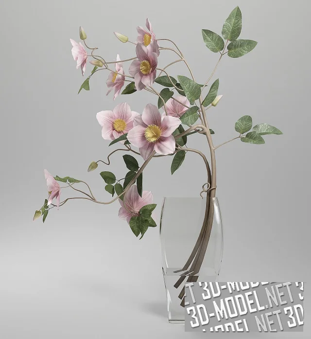 3d-модель Ваза Clematis Do