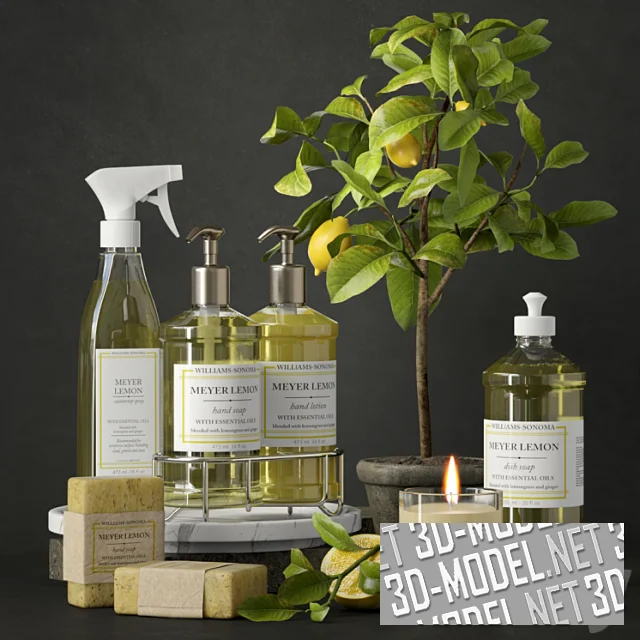 3d-модель Сет Meyer Lemon от Williams Sonoma