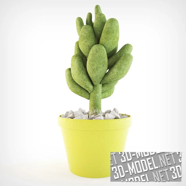3d-модель Суккулент Очиток в желтом горшке