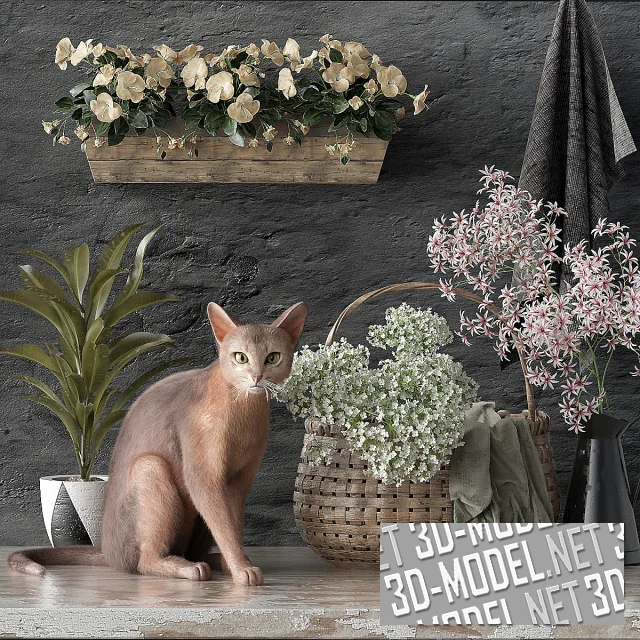 3d-модель Набор с котом