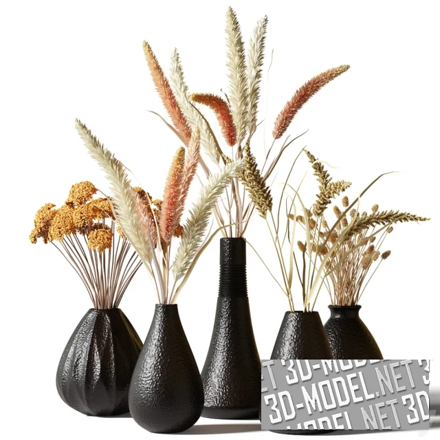 Пять ваз с сухими букетами