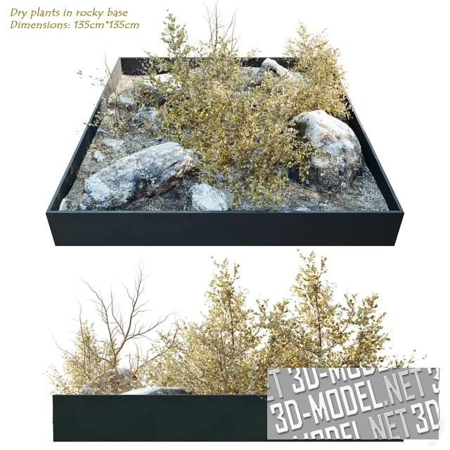 3d-модель Природная композиция в квадратном контейнере