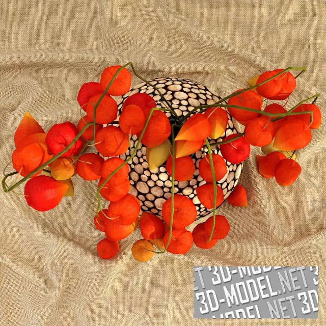 3d-модель Ветки физалиса в крафтовой вазе