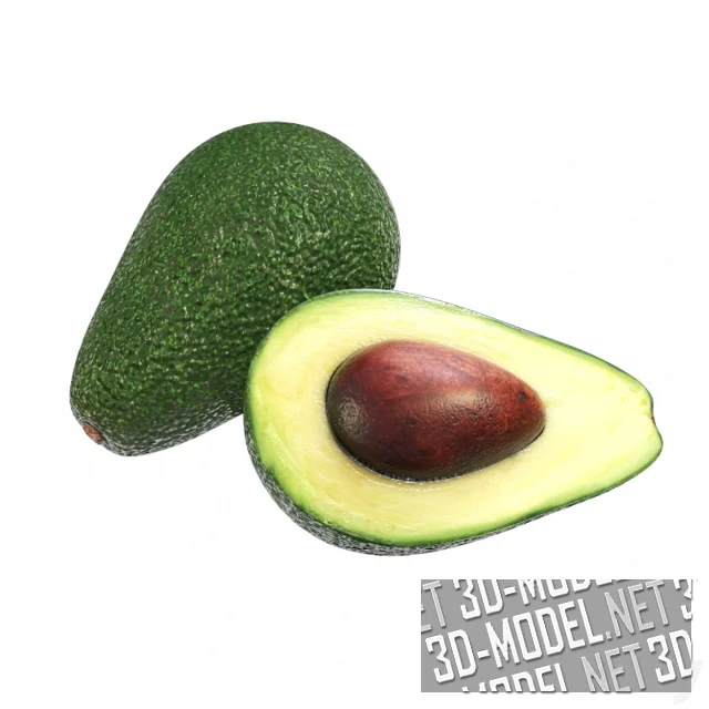 3d-модель Авокадо (сорт Хасс)