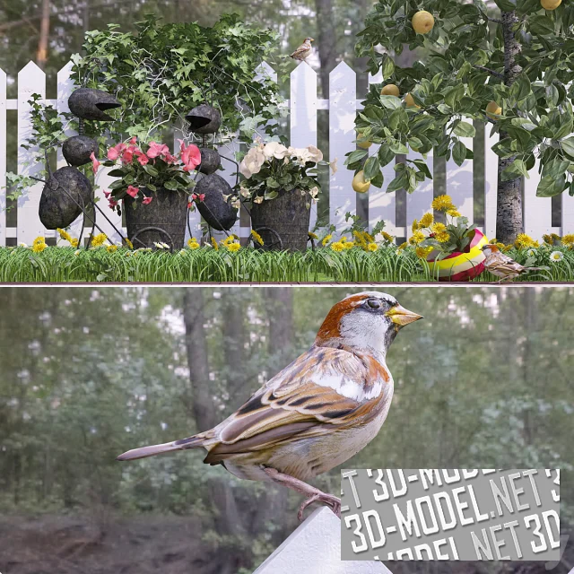 3d-модель Фрагмент сада и воробьи