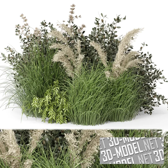 3d-модель Набор садовых растений