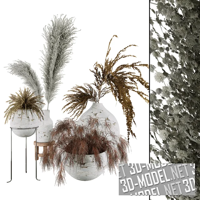 3d-модель Растения в белых кашпо