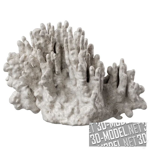 3d-модель Скульптура Ribbon Coral (White) от Regina Andrew