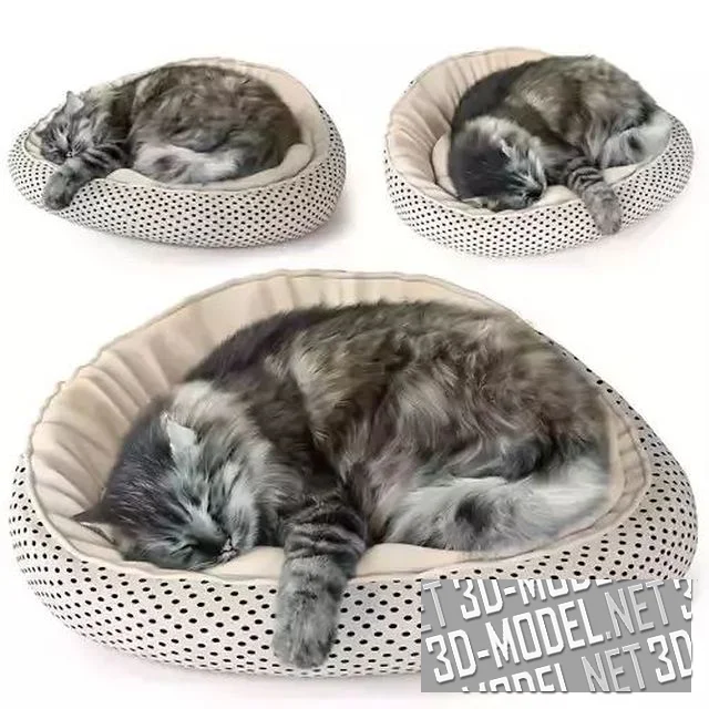 3d-модель Спящие в подушке пушистые коты