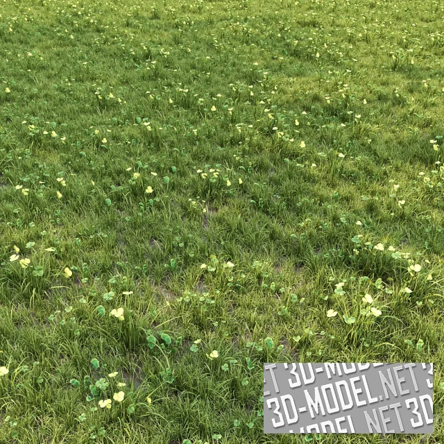 3d-модель Трава (низкие злаки и клевер)