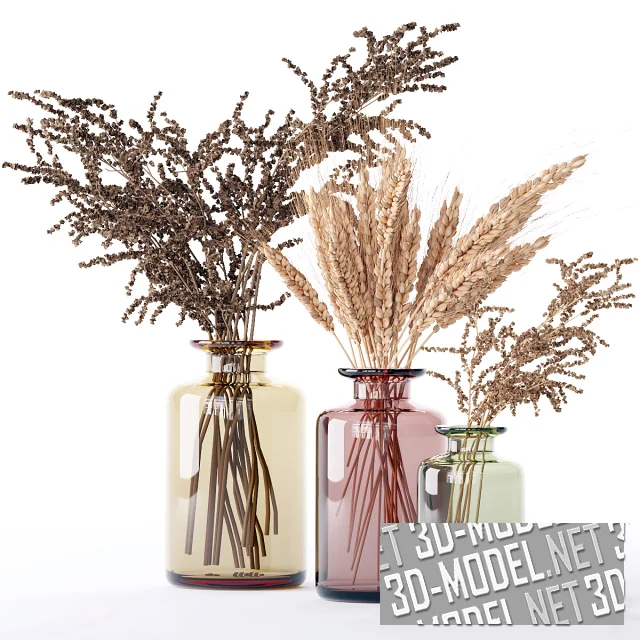 3d-модель Три букета сухоцветов в разных вазах