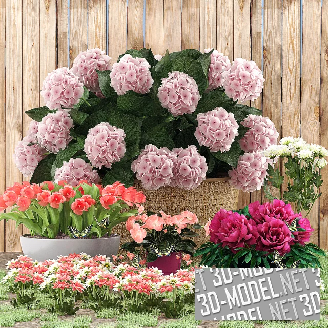 3d-модель Цветочные клумбы
