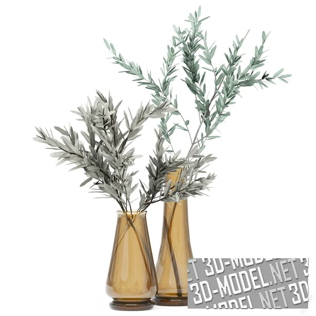 Вазы с ветвями оливы