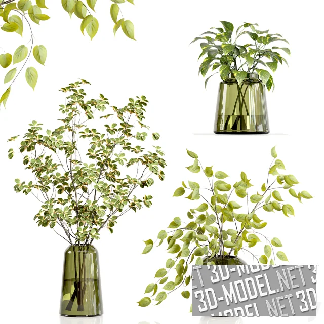 Зеленые вазы с декоративными растениями