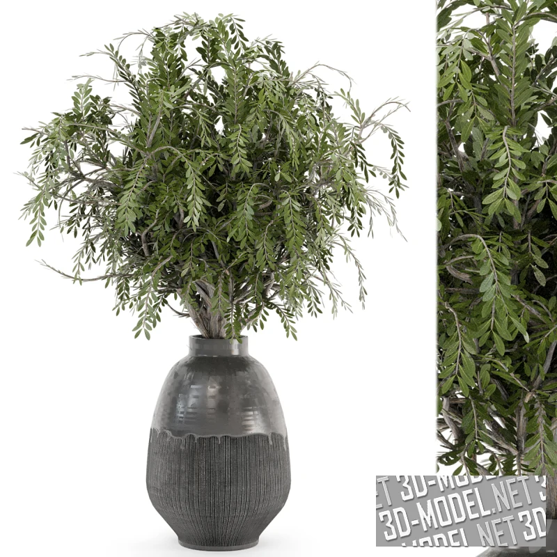 Букет из зеленых веток в вазоне из цемента