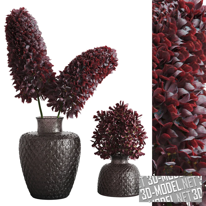 Ваза с бордовыми гиацинтами